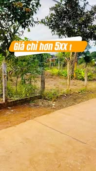 Đất nền Pleiku 135m² giá chỉ 500 triệu - Đầu tư sinh lời ngay!
