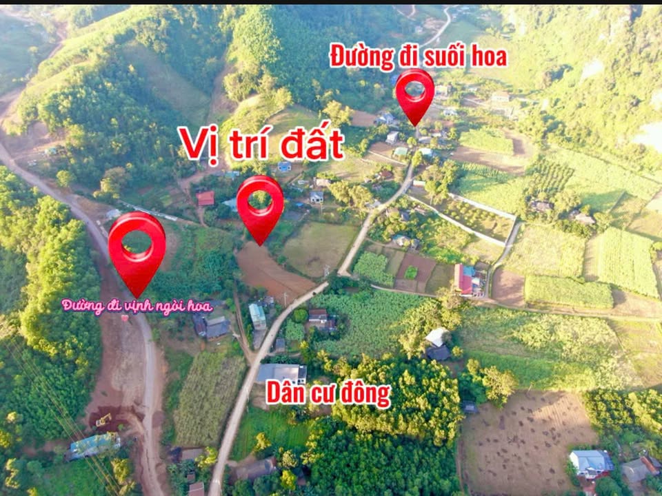 Đất nghỉ dưỡng đẹp tại Mỹ Hòa, Tân Lạc 1000m² chỉ 700 triệu - Cơ hội đầu tư tuyệt vời!