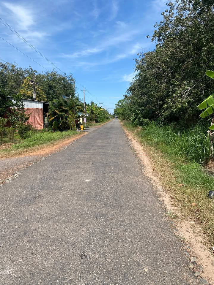 Đất thổ cư An Điền, Châu Thành 400m² giá 125 triệu - Cơ hội đầu tư hấp dẫn!