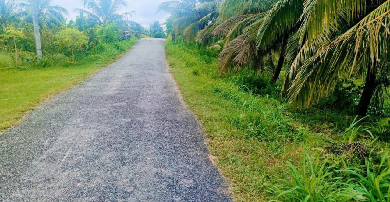 Đất nền Tân Mỹ, Ba Tri, Bến Tre 6800m² giá 1.7 tỷ - Sổ đỏ chính chủ