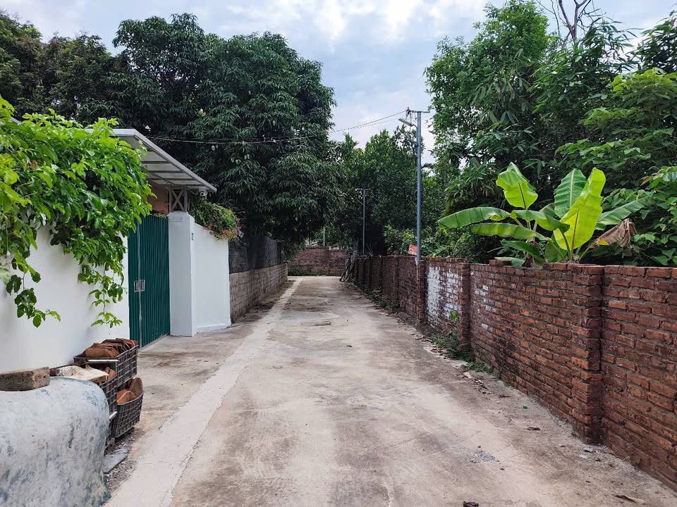 Đất ở Tân Xã, Thạch Thất 253m² giá chỉ 3 tỷ - Đầu tư sinh lời ngay!