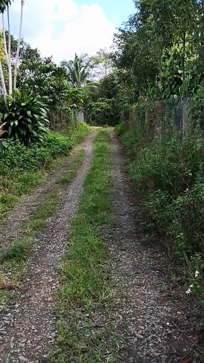 Đất nền Tân Lạc Bảo Lâm 150m² giá thỏa thuận - Sổ đỏ chính chủ