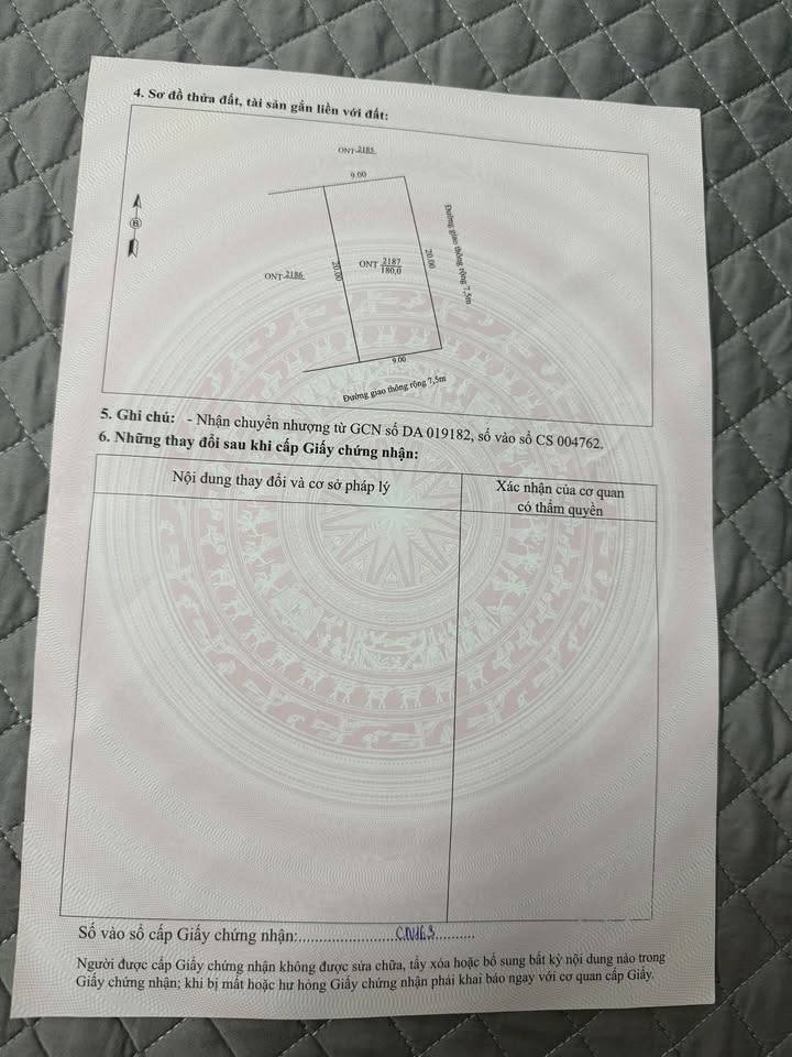 Lô đất đẹp mặt tiền 9x20m tại Triệu Sơn - Giá chỉ 1.3 tỷ, cơ hội đầu tư tuyệt vời!