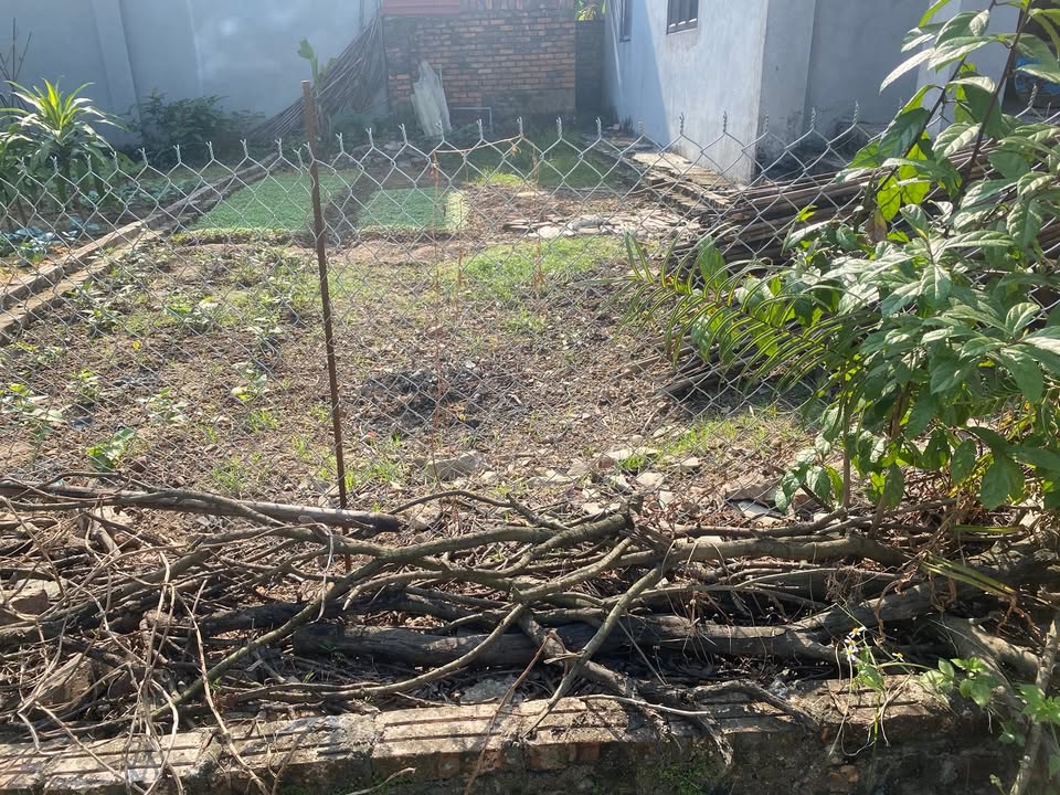 Đất thổ cư 54m² xã Nội Bài - Tiềm năng đầu tư sinh lời cao!