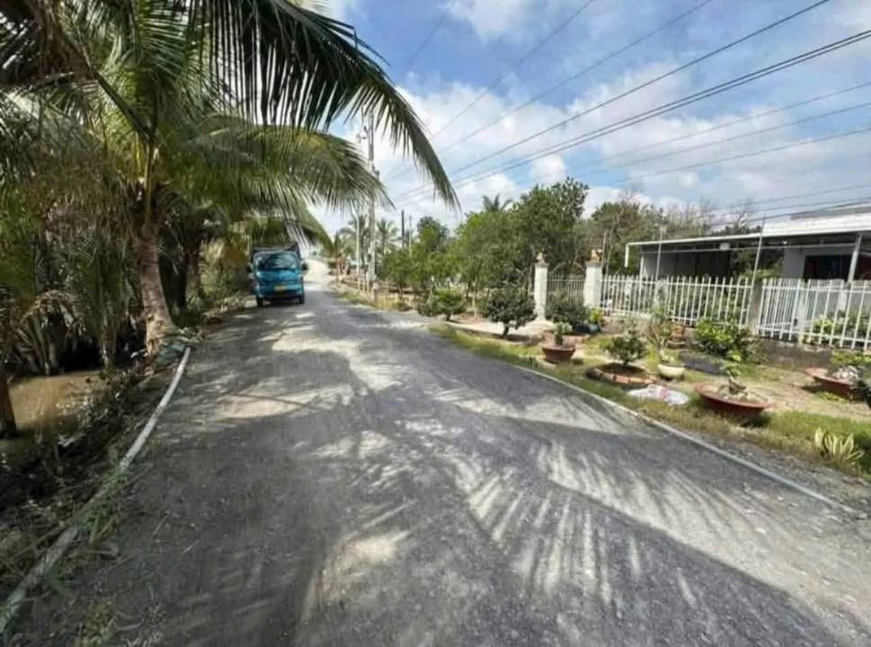 Đất nền 1000m² tại Kênh Biện Cung, Bến Lức chỉ 1.35 tỷ - Cơ hội đầu tư tuyệt vời!