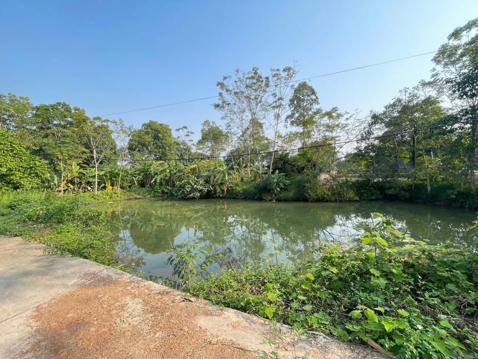 Đất nền Bằng Tạ, Ba Vì 346m² giá 1 tỷ - Sổ đỏ chính chủ, ô tô vào tận nơi!