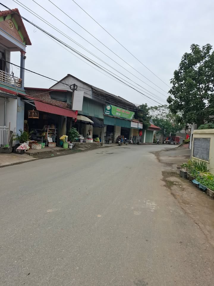 Đất thổ cư Thọ Văn, Tam Nông 162m² giá chỉ 300 triệu - Cơ hội đầu tư tuyệt vời!