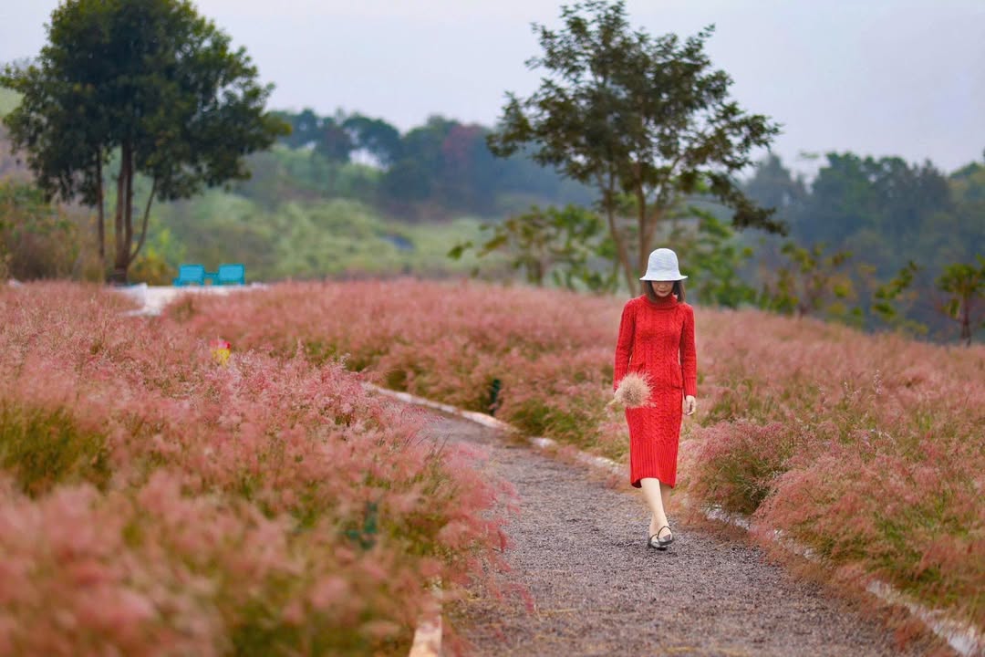 Đất nền Nà Lùn, Mộc Châu 243m² - Mặt tiền rộng, sẵn nhà vào ở ngay!