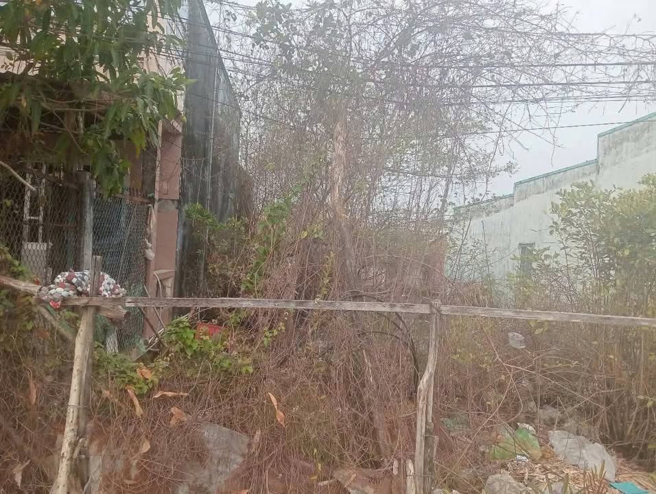 Đất thổ cư 110m² Tân Thạnh, Cà Mau giá 300 triệu - Đầu tư sinh lời ngay!