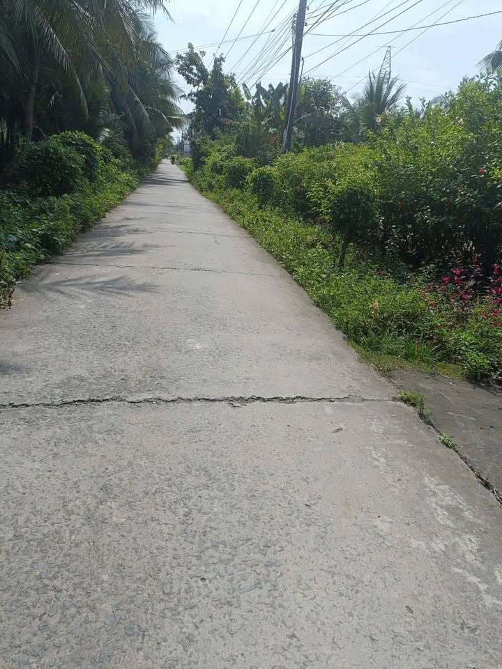 Đất thổ cư 500m² Bình Thành, Giồng Trôm, Bến Tre - Giá chỉ 1 tỷ, thương lượng ngay!