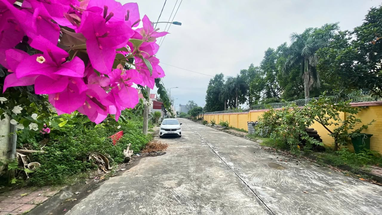 Đất lô góc 120m² tại Kim Long, Tam Dương - Giá rẻ không thể bỏ lỡ!