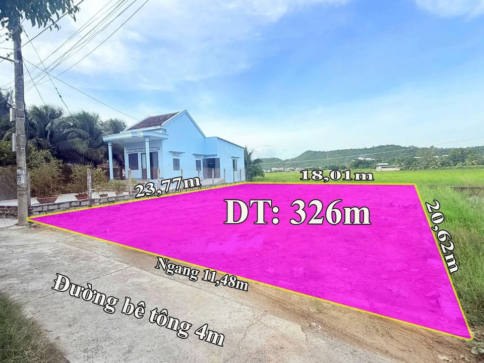 Đất nền Phường Ninh Hòa 326m² giá 6.5 tỷ - Đầu tư sinh lời tương lai!