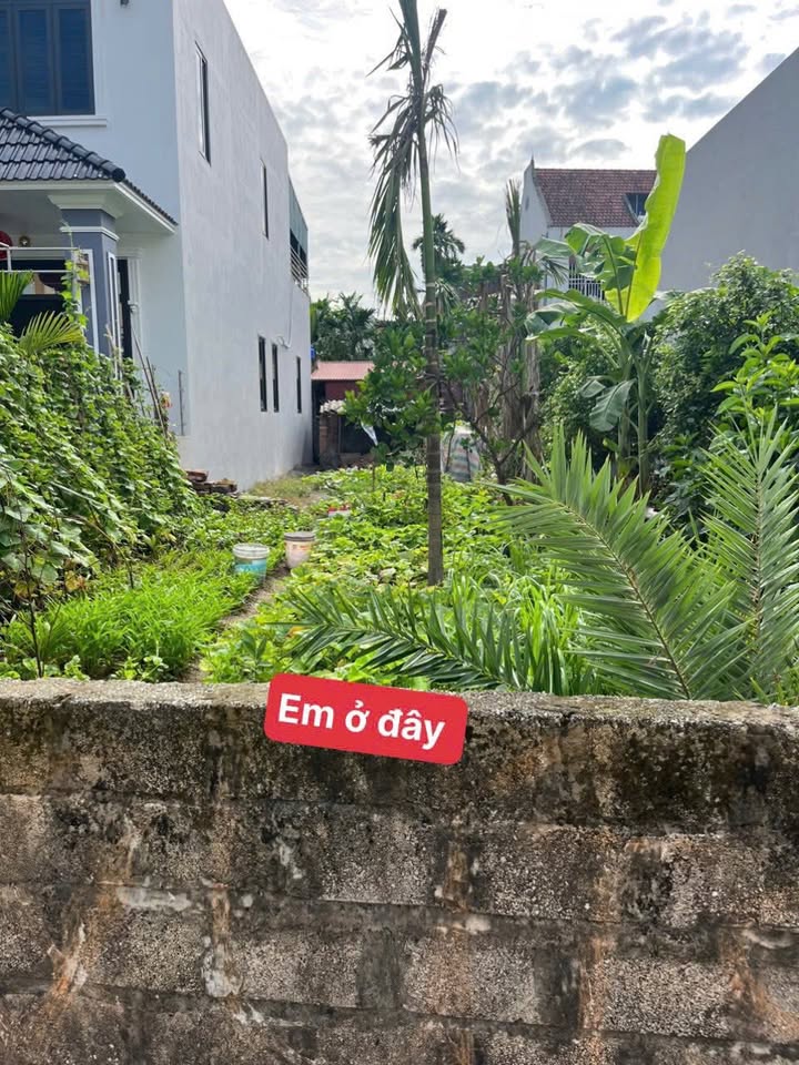 Đất nền An Thái-An Vỹ Khoái Châu 124.8m² giá 4 tỷ - Nằm trong khu dân cư phát triển!