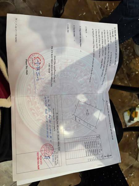 Đất nền Tân Dân Khoái Châu 159m² giá 200 triệu - Đường ô tô vào tận đất!