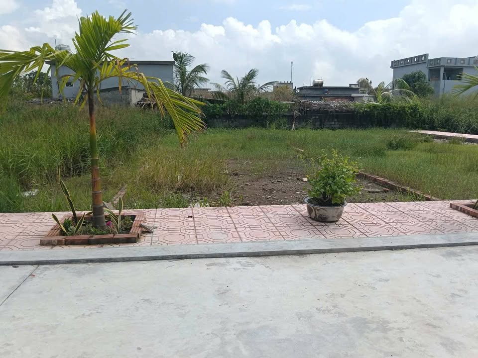 Đất Bạch Long Giao Thủy 97.6m² giá 900 triệu - Sổ đỏ chính chủ, đầu tư sinh lời!