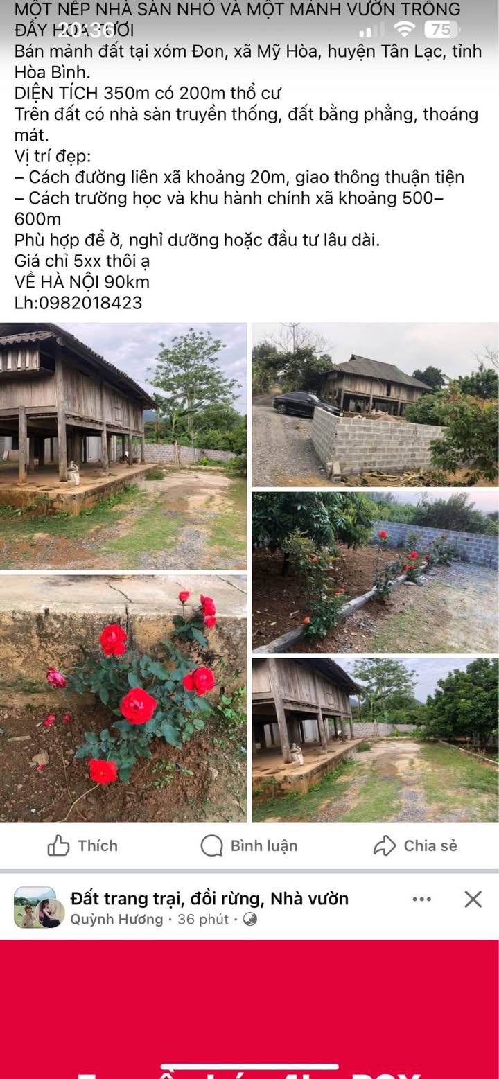 Đất thổ cư 350m² tại xã Mỹ Hòa, huyện Tân Lạc - Giá chỉ 5xx triệu!