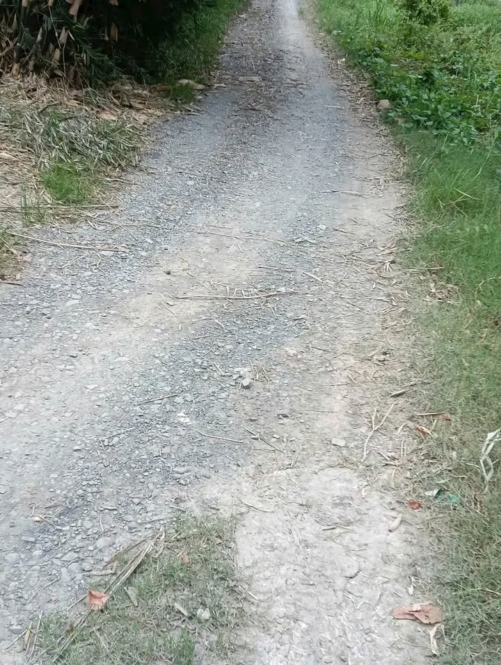 Đất nông nghiệp Mỹ Long, Cao Lãnh 14.000m² giá 260 triệu - Mặt tiền 30m, điện nước đầy đủ