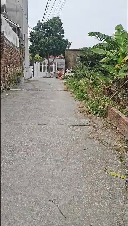 Đất nền Phù Lãng, Quế Võ, Bắc Ninh 95m² giá chỉ 700 triệu - Sổ hồng trao tay!