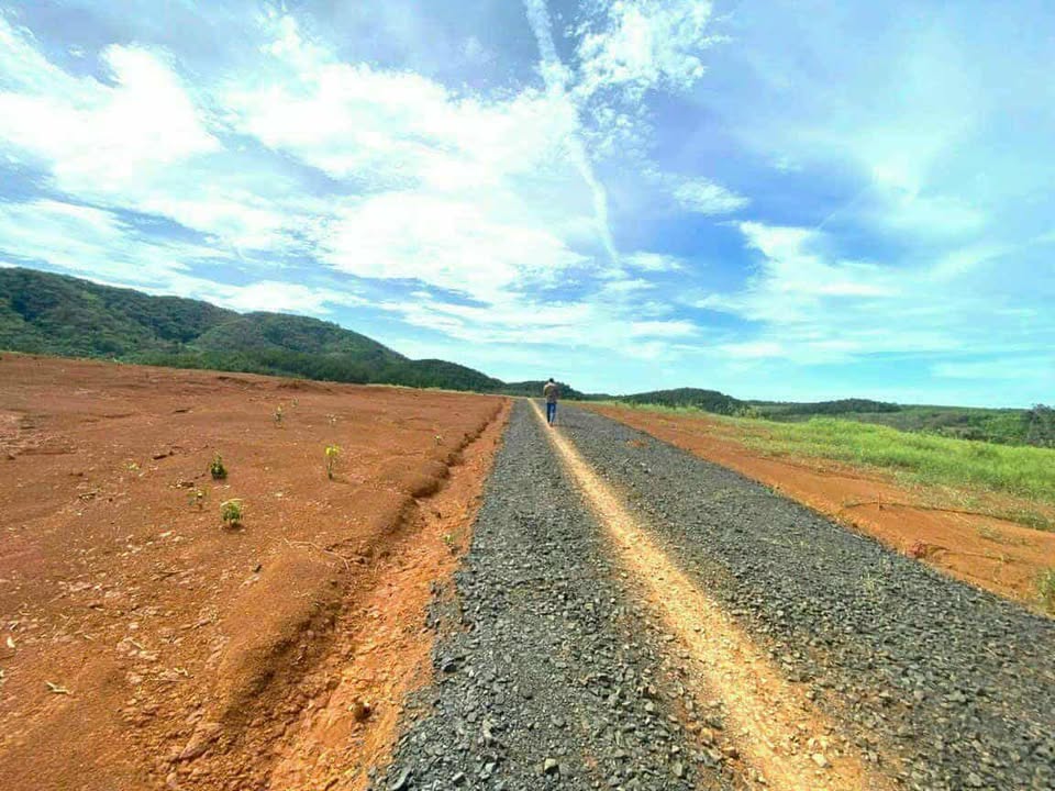 Đất nền 1000m² tại Phước Sơn, Bù Đăng giá chỉ 110 triệu - Cơ hội đầu tư hấp dẫn!