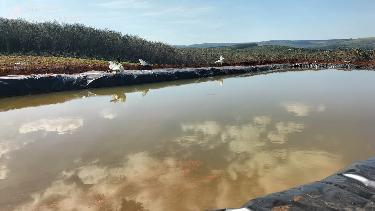 Đất nền Bù Đăng 30,000m² giá thỏa thuận - Cơ hội đầu tư hấp dẫn!