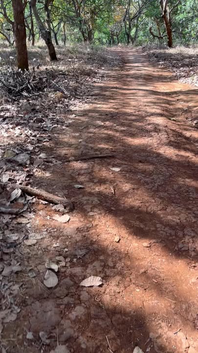 Đất nền Bù Đăng 20,000m² giá 1.5 tỷ - Sổ đỏ chính chủ!