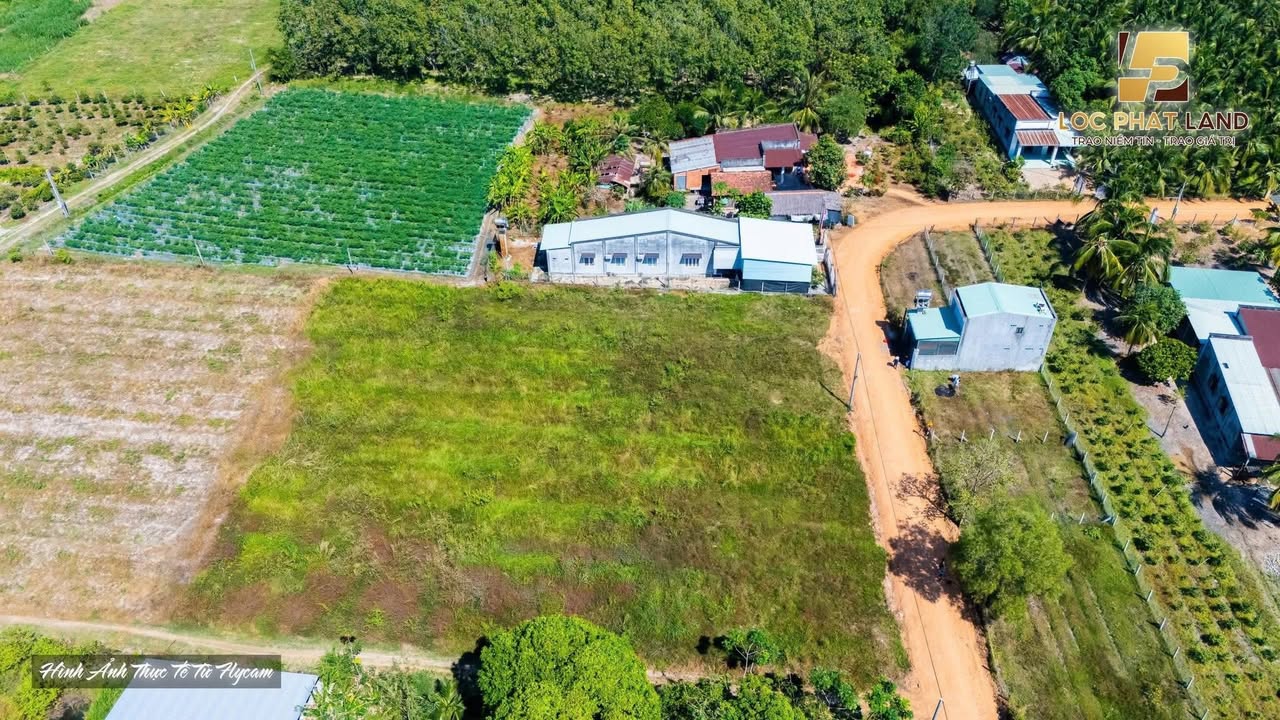 Đất thổ cư 250m² tại Long Chữ, Châu Thành, Tây Ninh - Giá chỉ 279 triệu!