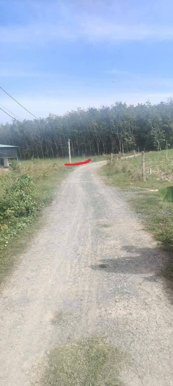 Đất nền ấp Bình Lợi, Hảo Đước, Tây Ninh 1045m² giá chỉ 230 triệu - Đầu tư sinh lời ngay!