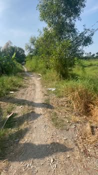 Đất Nền Tân Phú, Đồng Tháp 36.000m² giá chỉ 2 tỷ - Cơ hội đầu tư sinh lời!