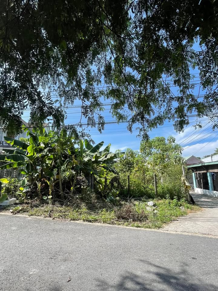 Đất thổ cư Định Hoà Thủ Dầu Một 159.5m² giá 3 tỷ - Cơ hội đầu tư hấp dẫn!