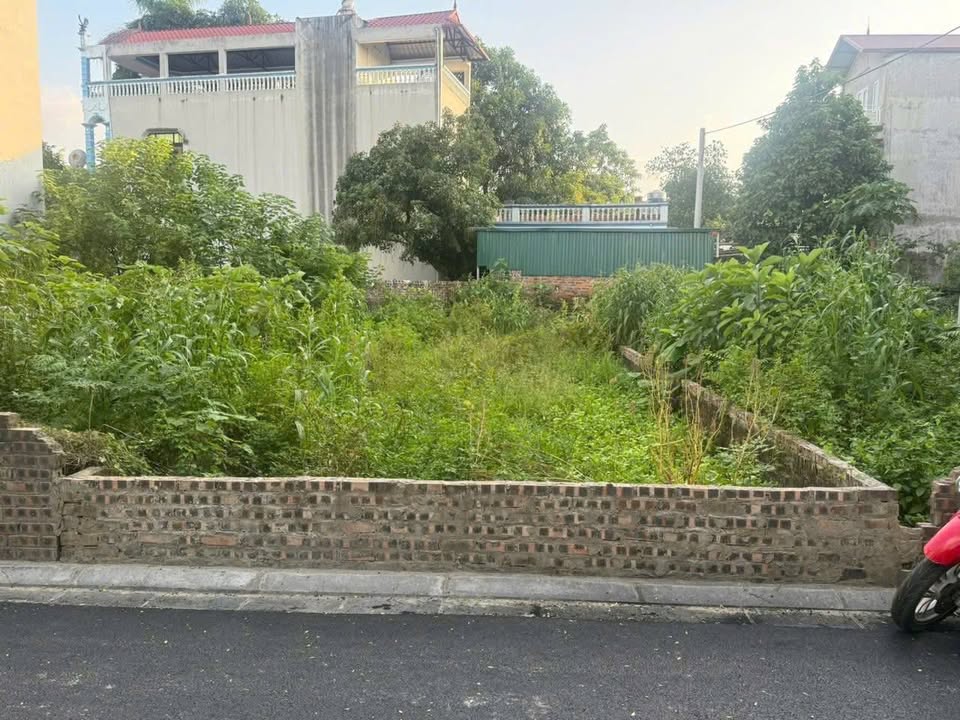 Đất kinh doanh Thôn Nhì, Phúc Thịnh 83m² - Nở hậu, ô tô tránh thoải mái!