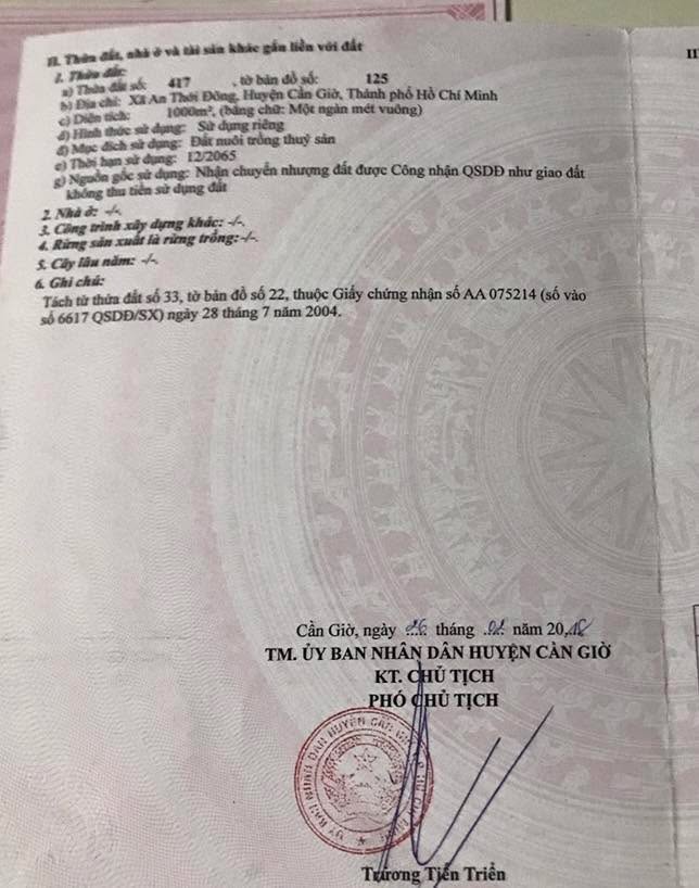 Đất 1000m² Cần Giờ TP.HCM - Giá hấp dẫn cho nhà đầu tư!