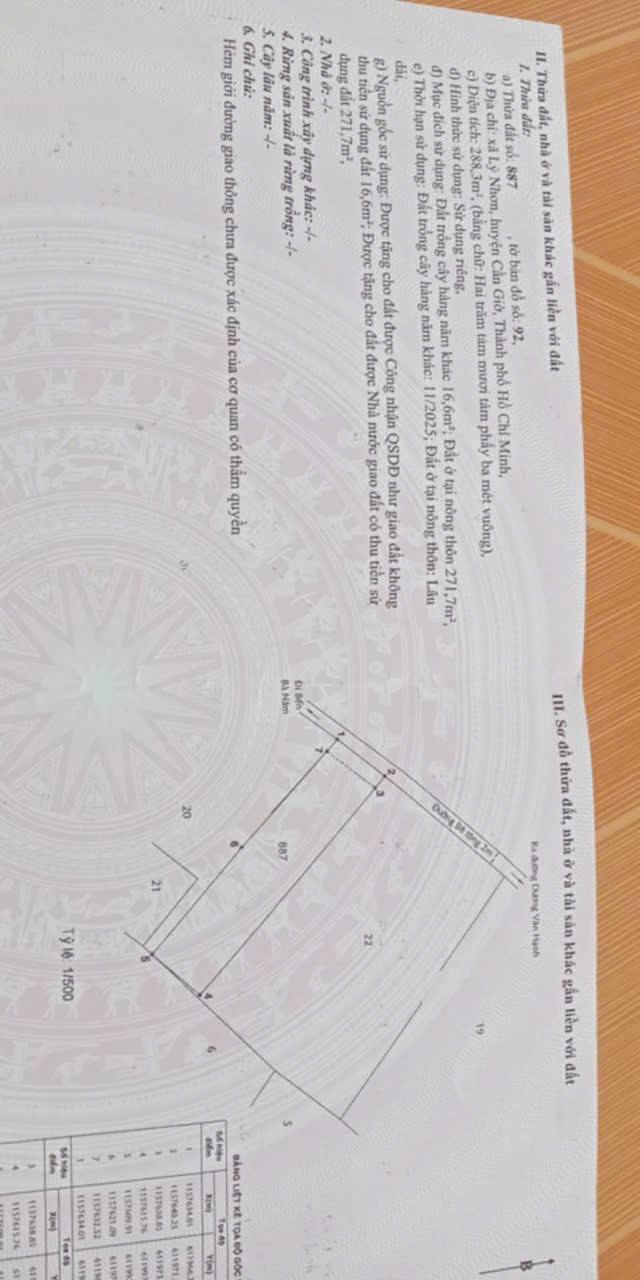 Đất nền xã Lý Nhơn, huyện Cần Giờ, 288m² - Giá chỉ 3 tỷ, cơ hội đầu tư hấp dẫn!