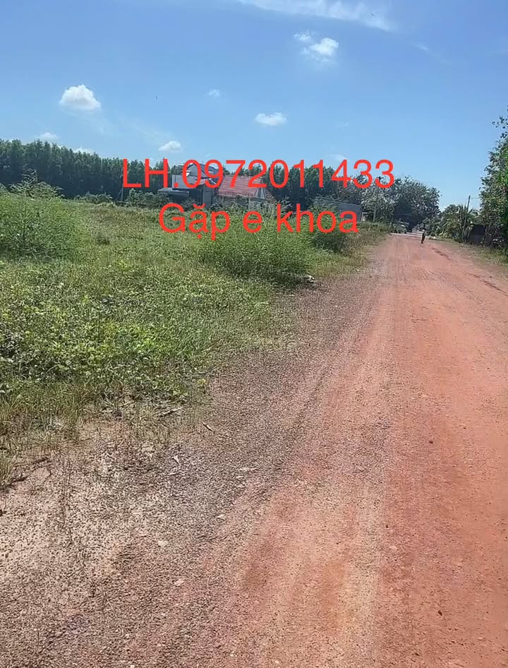 Đất nền Tân Lợi Đồng Phú 1000m² giá 390 triệu - Đầu tư ngay hôm nay!