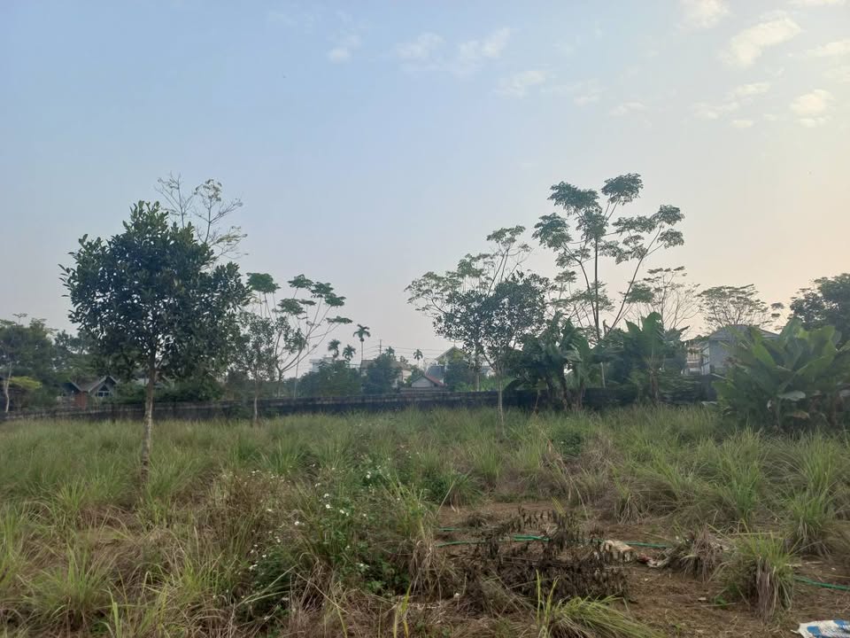 Đất nền Yên Bài Ba Vì 1400m² giá thỏa thuận - Thế đất vuông vắn, view núi đẹp!