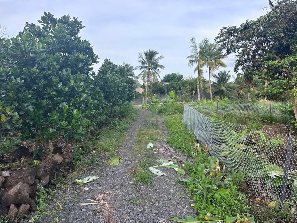 Đất vườn Tà Lài - Tân Phú 1000m² giá 350 triệu - Cơ hội đầu tư lý tưởng!