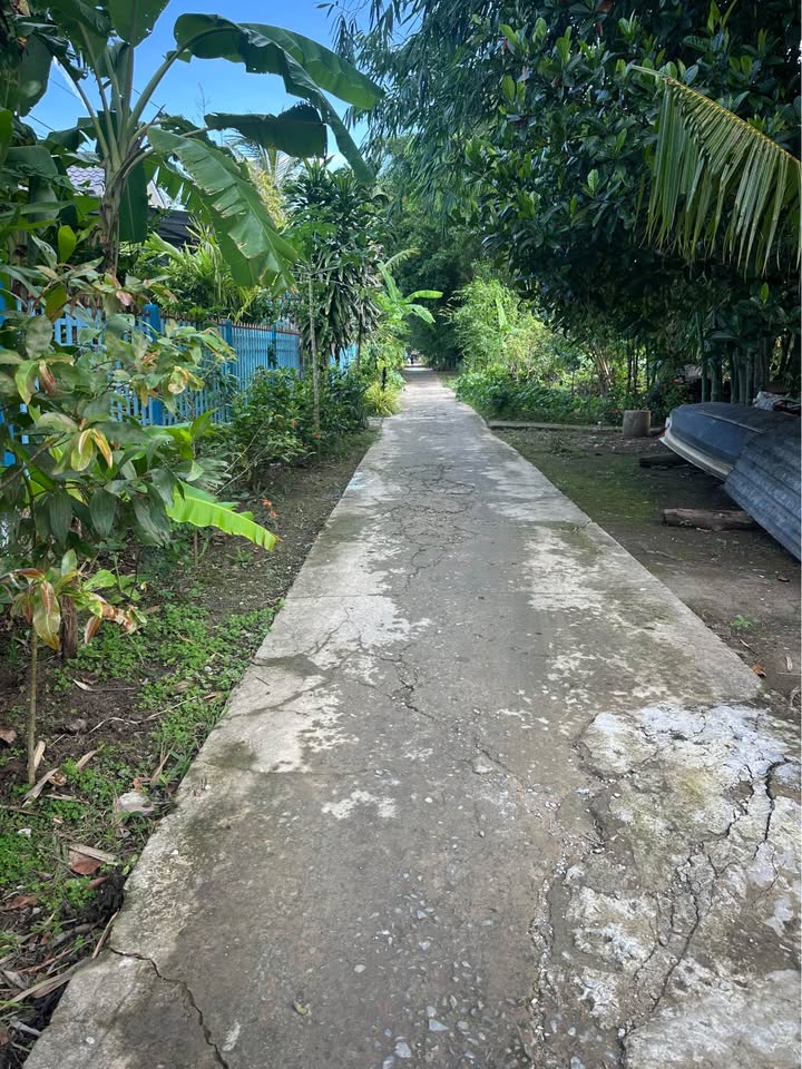 Đất nền Tân Phước Hưng, Phụng Hiệp 1312m² giá 600 triệu - Mặt tiền sông thoáng đãng!