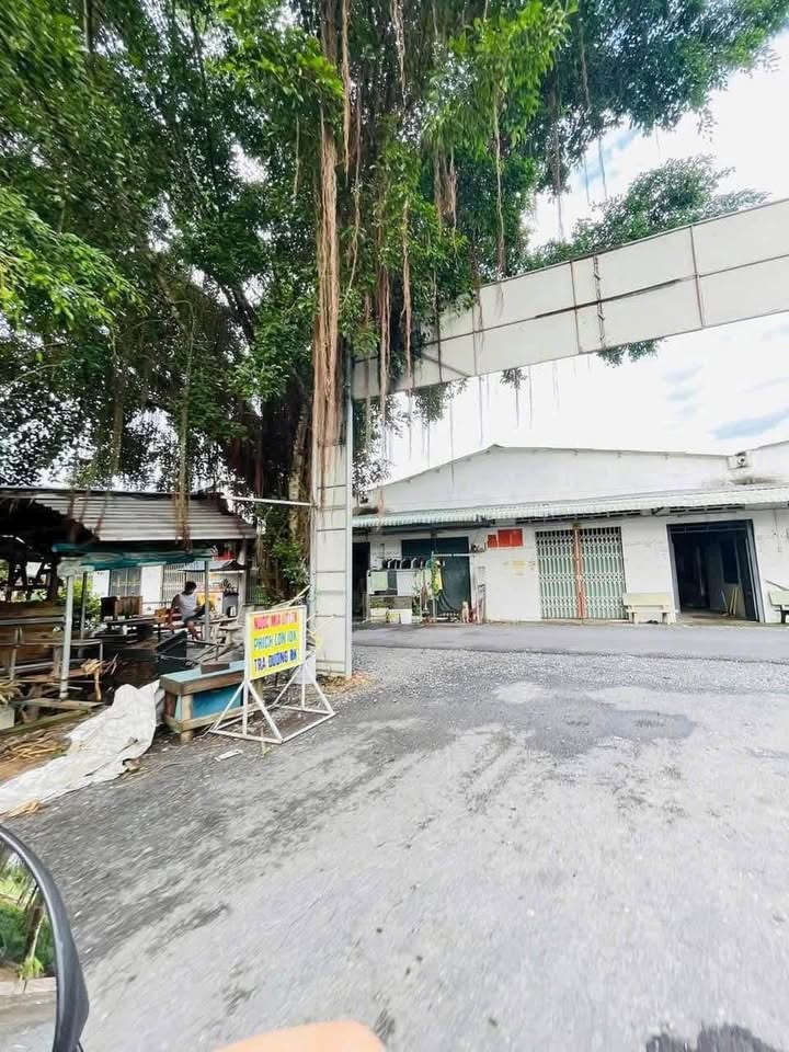 Đất thổ cư Tân Hương, Châu Thành, Tiền Giang 90m² giá 500 triệu - Cơ hội đầu tư hấp dẫn!