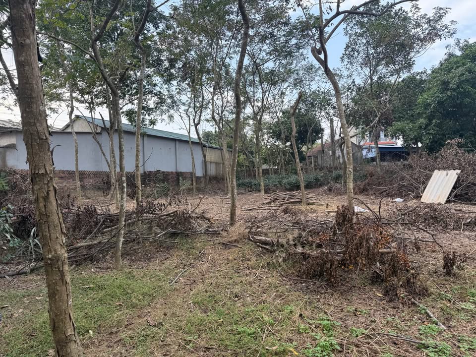 Đất nền Cầu Sơn, Trung Thành, Phổ Yên 450m² giá 1.8 tỷ - Đầu tư sinh lời ngay!