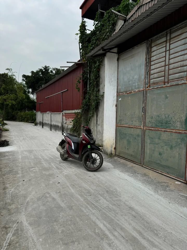 Đất nền Phượng Dực, Phú Xuyên 80m² giá thỏa thuận - Vị trí đắc địa gần chợ