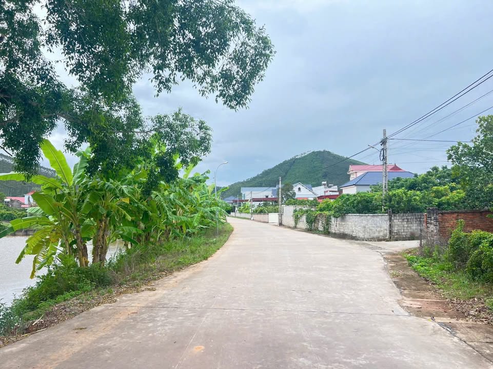 Đất thổ cư Phượng Sơn, Bắc Ninh 170m² giá chỉ từ 100 triệu - Đầu tư sinh lời ngay!