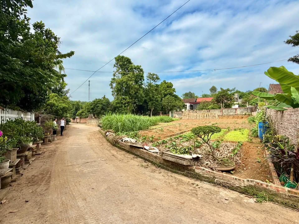 Đất thổ cư Dân Quyền Tam Nông 96m² chỉ 700 triệu - Cơ hội đầu tư tuyệt vời!