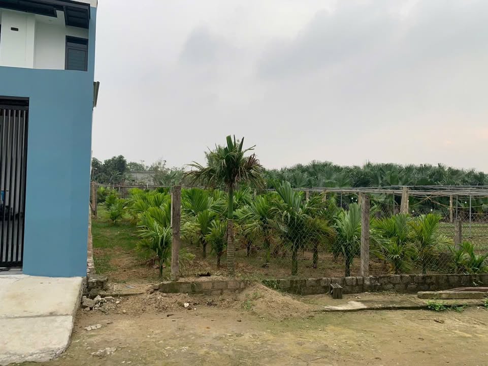 Đất nền Nghi Liên 242m² giá 3.2 tỷ - Cơ hội đầu tư tiềm năng!