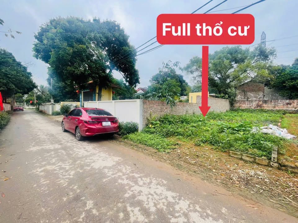 Đất thổ cư 100m² tại Đoàn Kết, Tam Dương - Cơ hội đầu tư hiếm có!