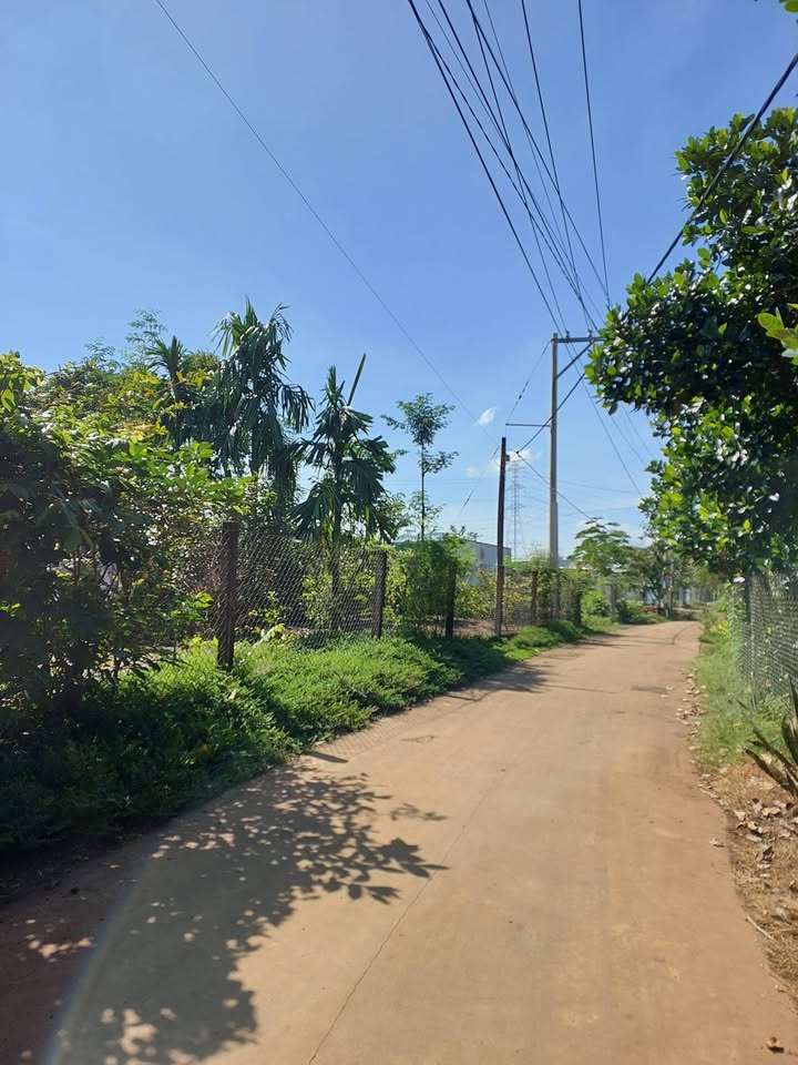 Đất nền 1 sào Bảo Vinh Long Khánh 1000m² giá 800 triệu - Sổ đỏ chính chủ