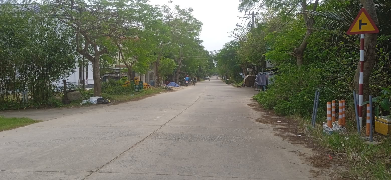 Farm Cẩm Thanh 1400m² giá 1.4 tỷ - Cơ hội đầu tư độc đáo!