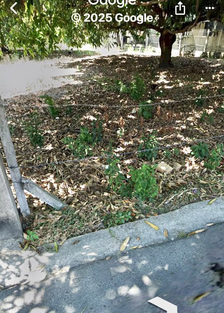 Lô đất đẹp 809m² tại Cam Lâm giá chỉ 4.045 tỷ - Đầu tư sinh lời ngay!