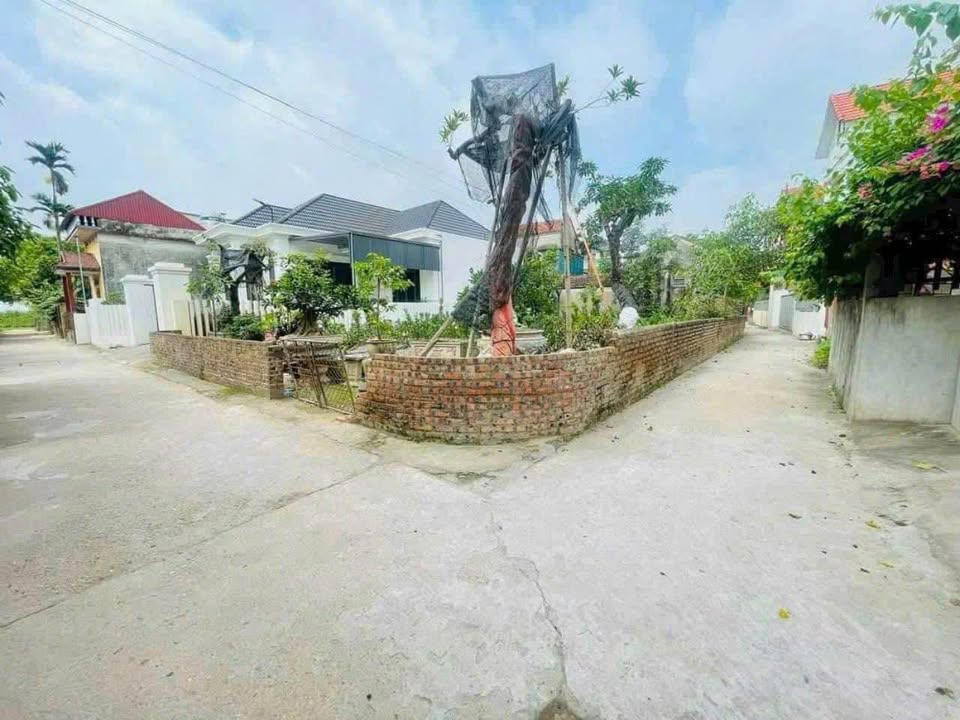 Đất thổ cư Liên Nghĩa 71m² - Mặt tiền sáng, vị trí đẹp - Thỏa thuận giá