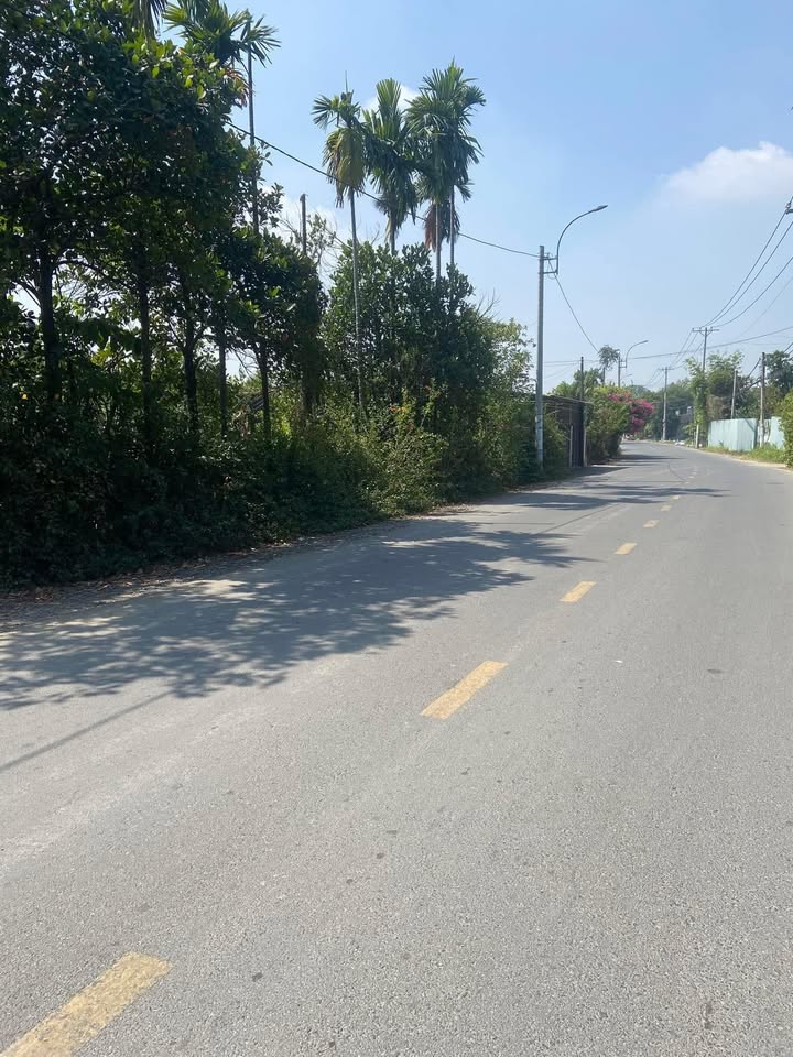 Đất mặt tiền đường Võ Thị Đầy, Nhị Bình, Hóc Môn 2700m² - Giá tốt, thương lượng!