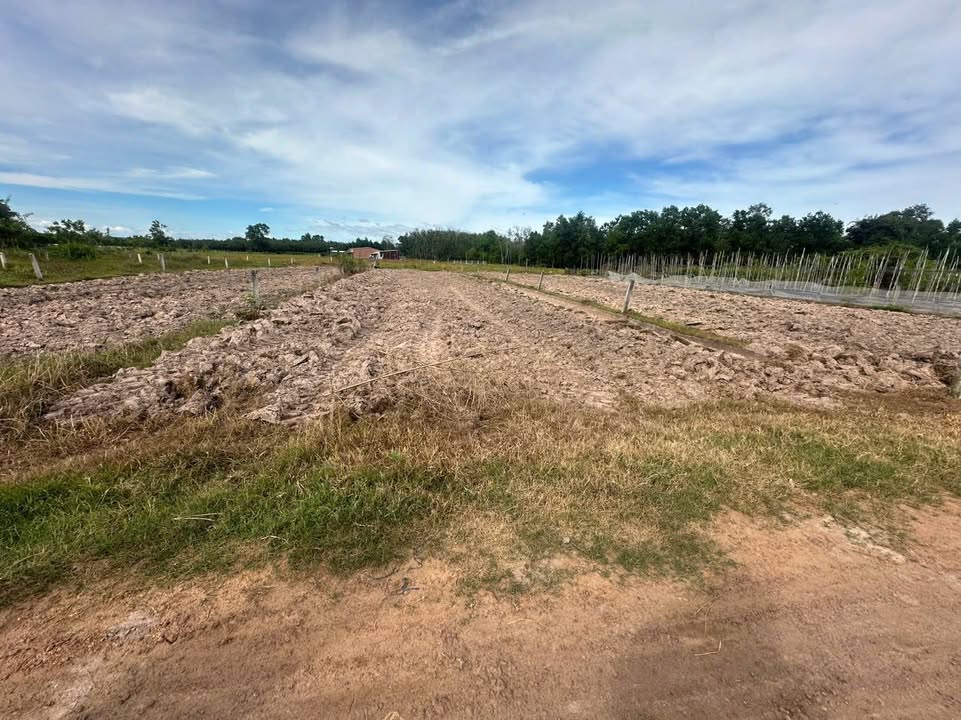 Đất thổ cư ấp Bắc Bến Sỏi, xã Ninh Điền 500m² giá chỉ 550 triệu - Cơ hội đầu tư hấp dẫn!