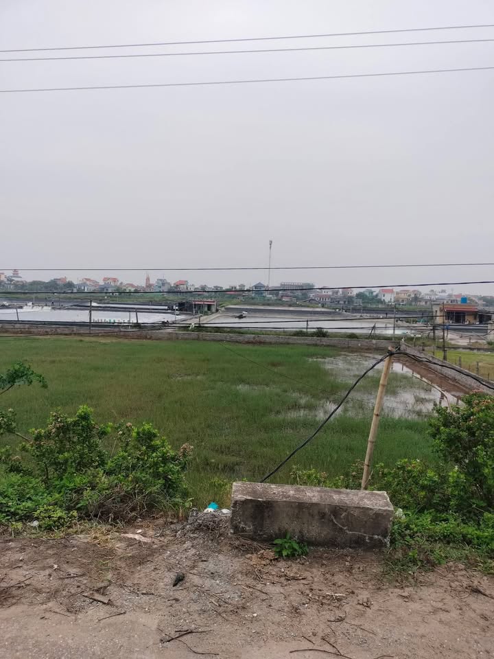 Đất nền Khu du lịch Quất Lâm 690m² giá 1x tỷ - Sổ đỏ chính chủ!